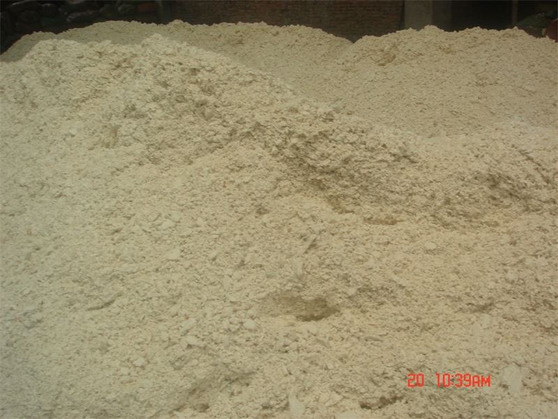 Virgin Tissue Sugarcan pulp